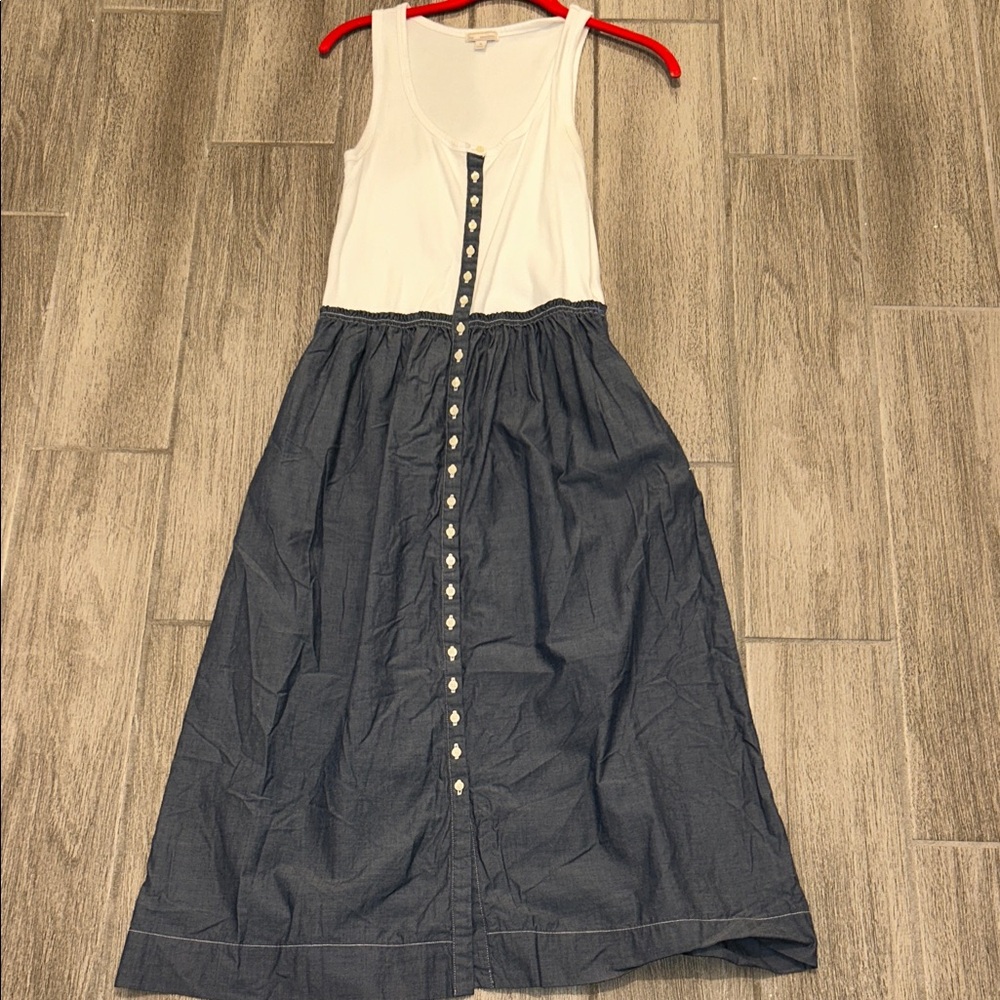 GAP Classic White and blue dress
